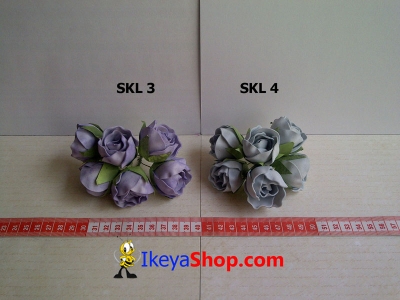 SKL 3 4  large2